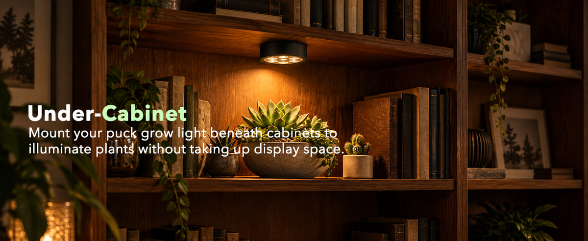 iXwind 3000mAh rechargeable smart grow lights with remote control