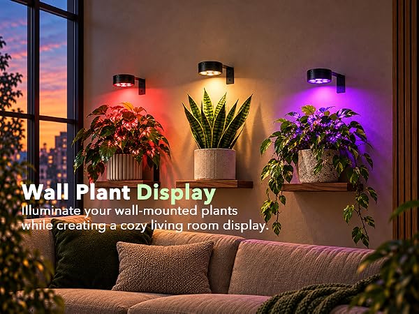 Smart circadian grow light with automatic daylight cycle timer