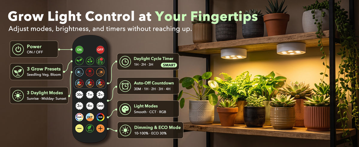Dimmable LED plant lamp controller with RGB and ECO modes