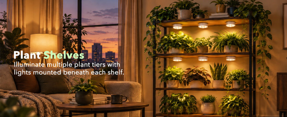 White cordless grow lights on indoor plant shelves