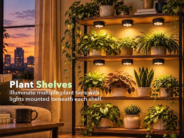 Multi-pack cordless grow lights for indoor plant shelves