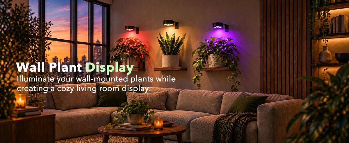 Smart circadian grow light with automatic daylight cycle timer