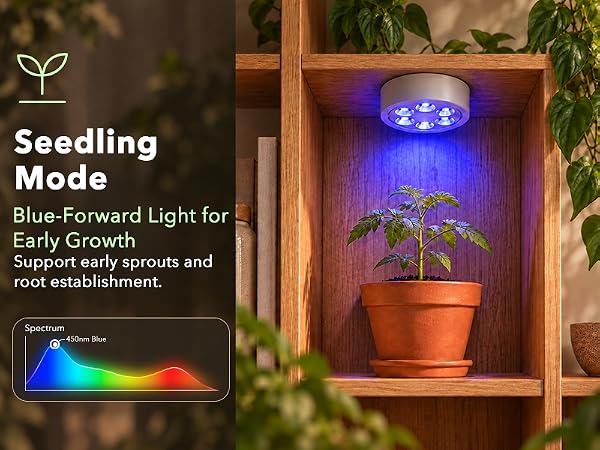 Blue indoor plant puck light for early sprouts on wooden bookshelf