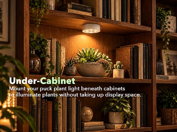 White magnetic puck light illuminating succulents on a shelf