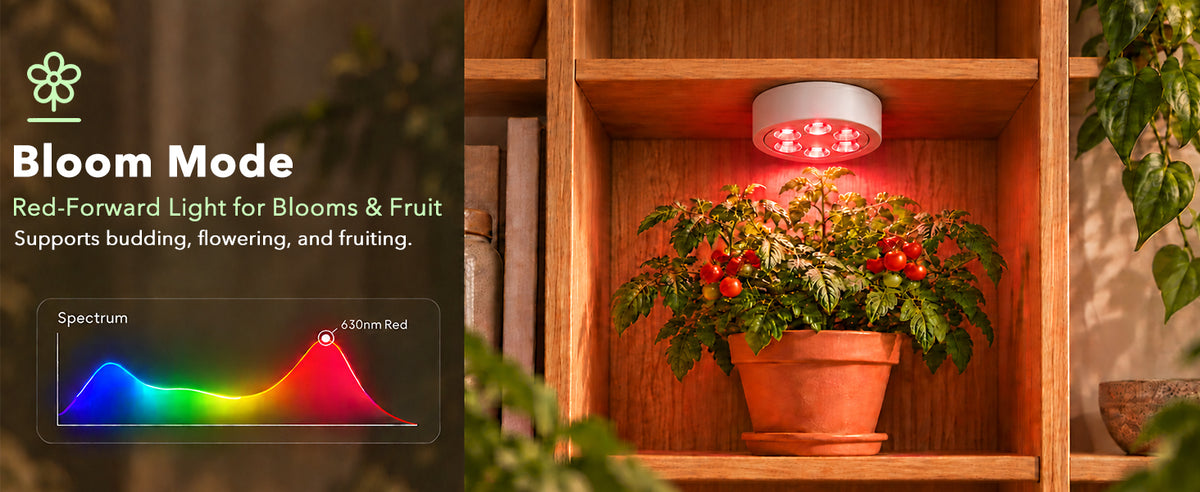 630nm deep red plant light puck for indoor plants
