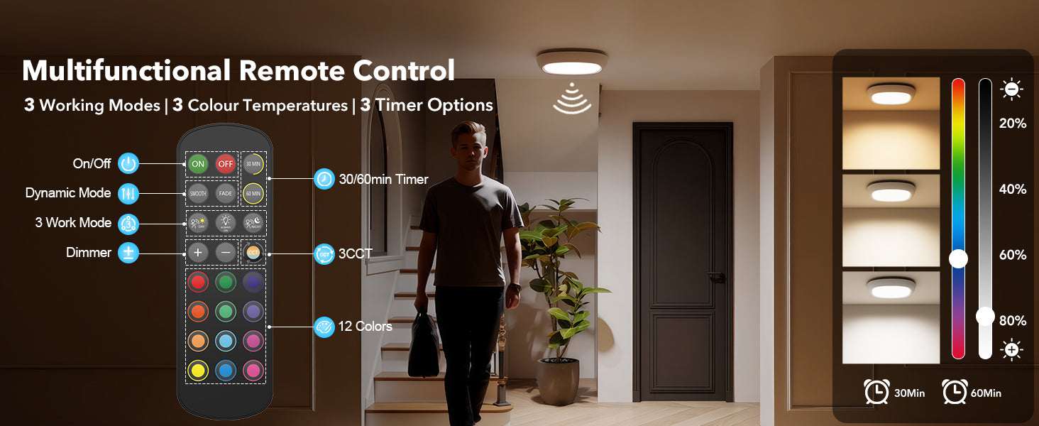 battery ceiling light with remote
