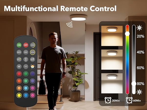 battery ceiling light with remote