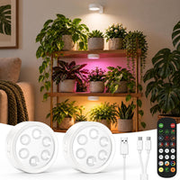 2-piece wireless indoor plant lamps with multi-function controller