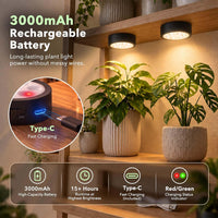Rechargeable plant light with Type-C, remote control and 7 RGB colors