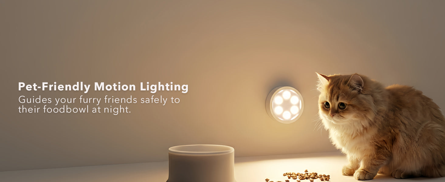 motion sensor puck lights bring light for pet