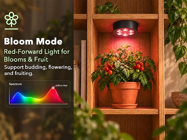Deep red LED grow light supporting fruiting flowering and budding
