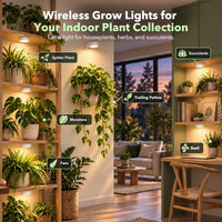 wireless overhead plant lights illuminating a dark indoor corner