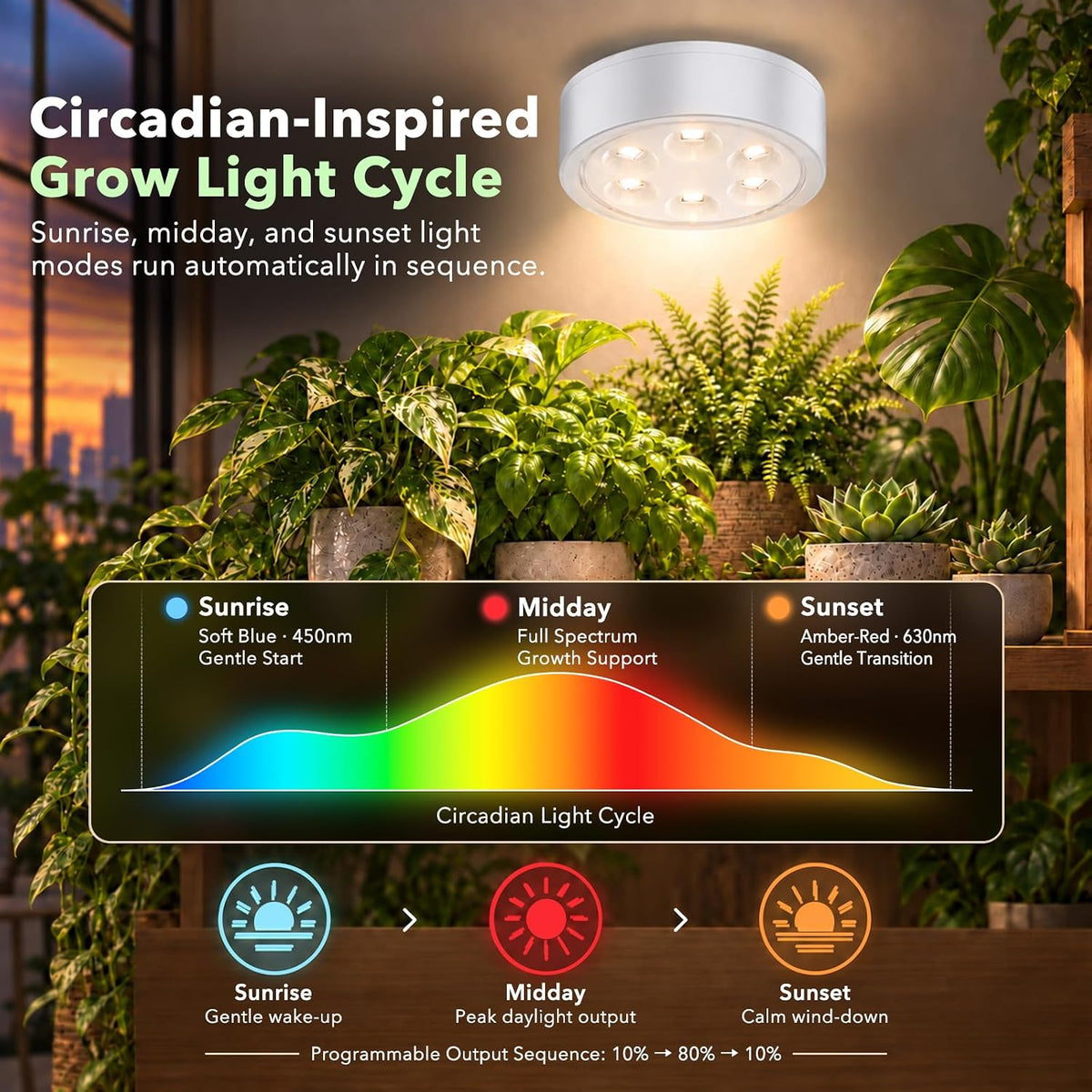 Circadian grow light with automatic sunrise to sunset light cycle