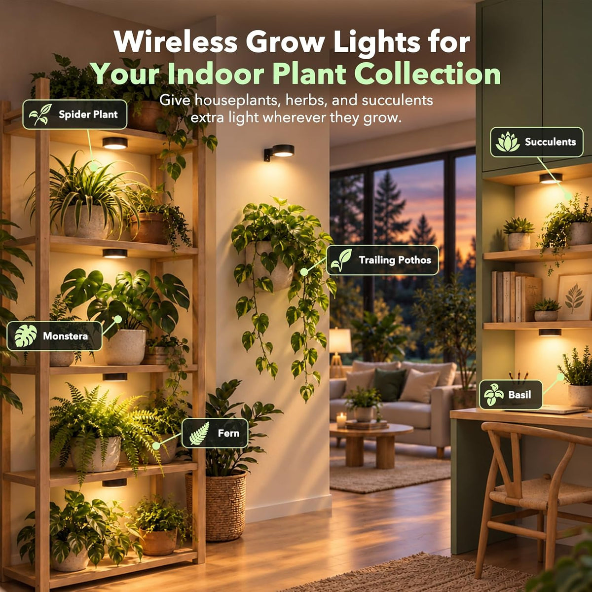 Wireless wall mounted grow lights illuminating indoor houseplants