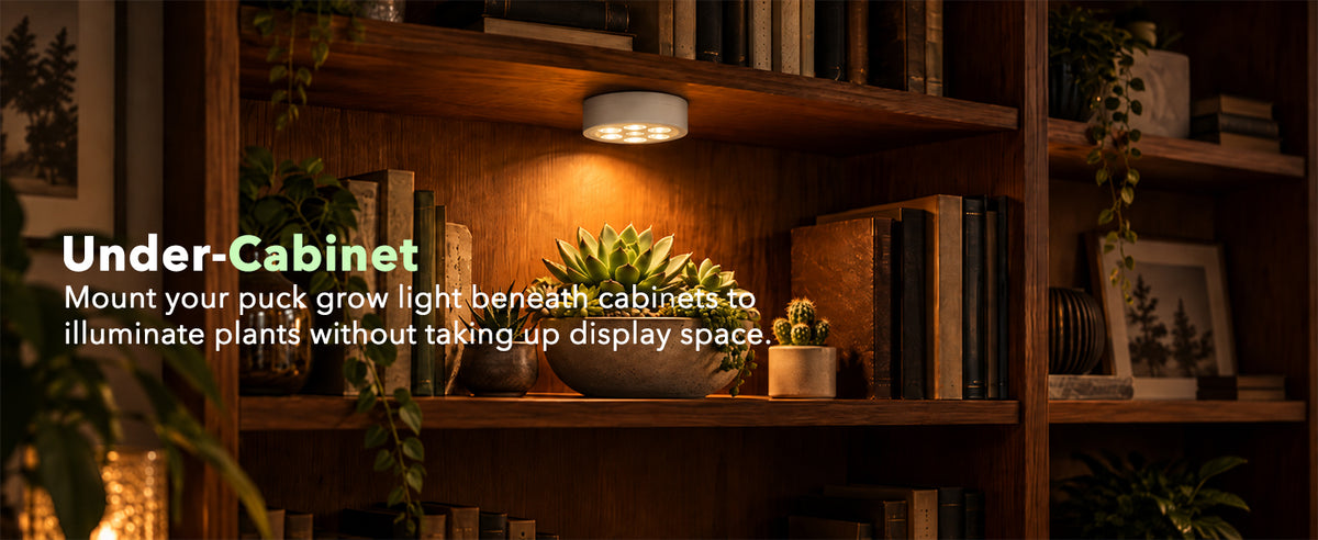 White magnetic puck light illuminating succulents on a shelf