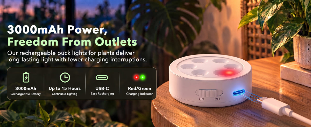 Wireless battery powered plant lamp for 15 hours continuous illumination