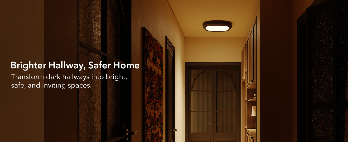 LED Rechargeable Ceiling lights wireless for hallway and home