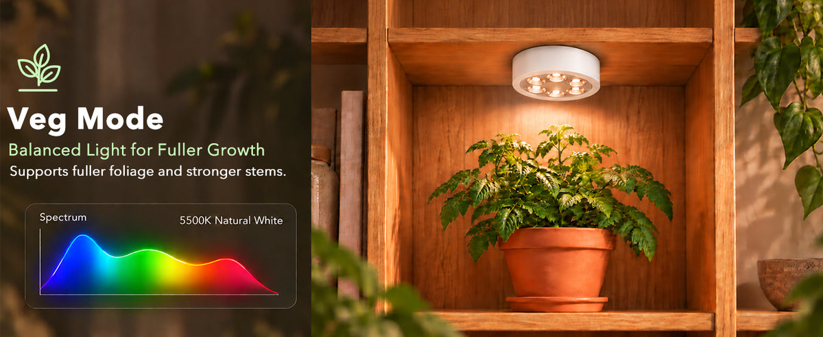 Rechargeable Grow Light Balanced full spectrum plant lamp for stronger stems and foliage