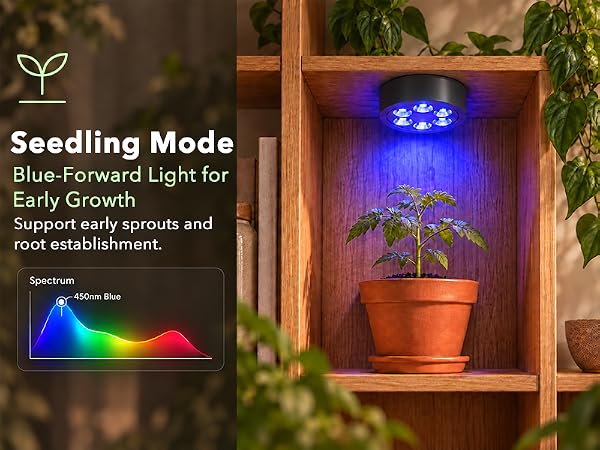 Blue spectrum seedling mode grow light for early plant growth