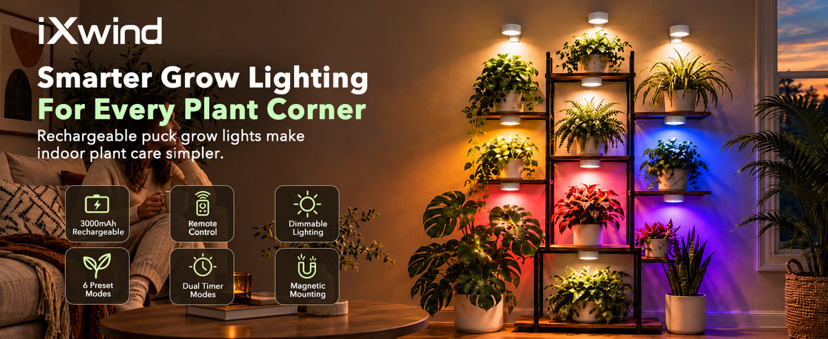 Wireless battery powered plant light for bookshelf display
