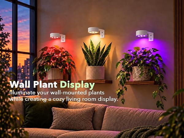 Overhead LED grow lamps for tall houseplants and monstera