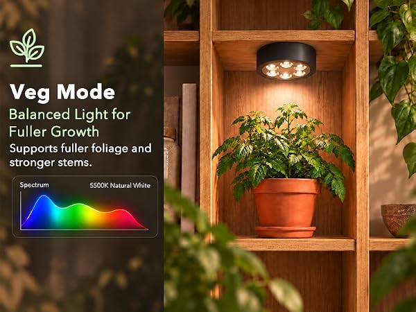 High CRI 5500K white plant light for lush green foliage.