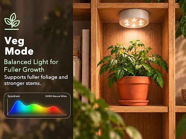 Rechargeable Grow Light Balanced full spectrum plant lamp for stronger stems and foliage